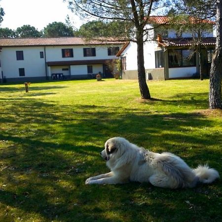 Artenatura Beb Terranuova Bracciolini Eksteriør billede